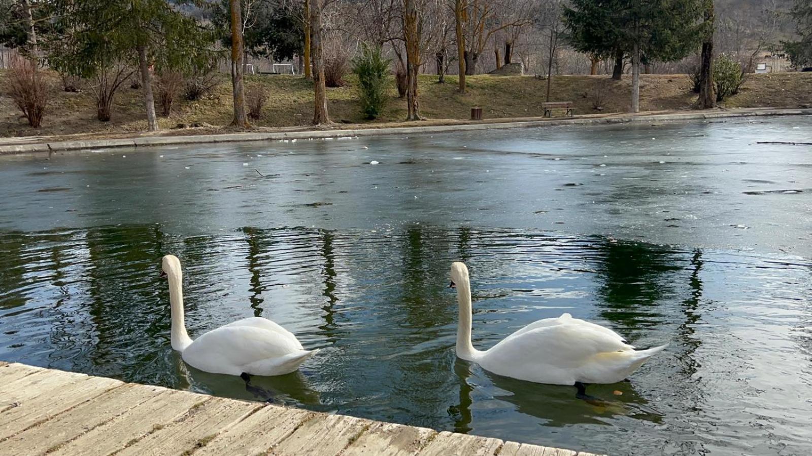 Apartament Del Llac Osséja エクステリア 写真